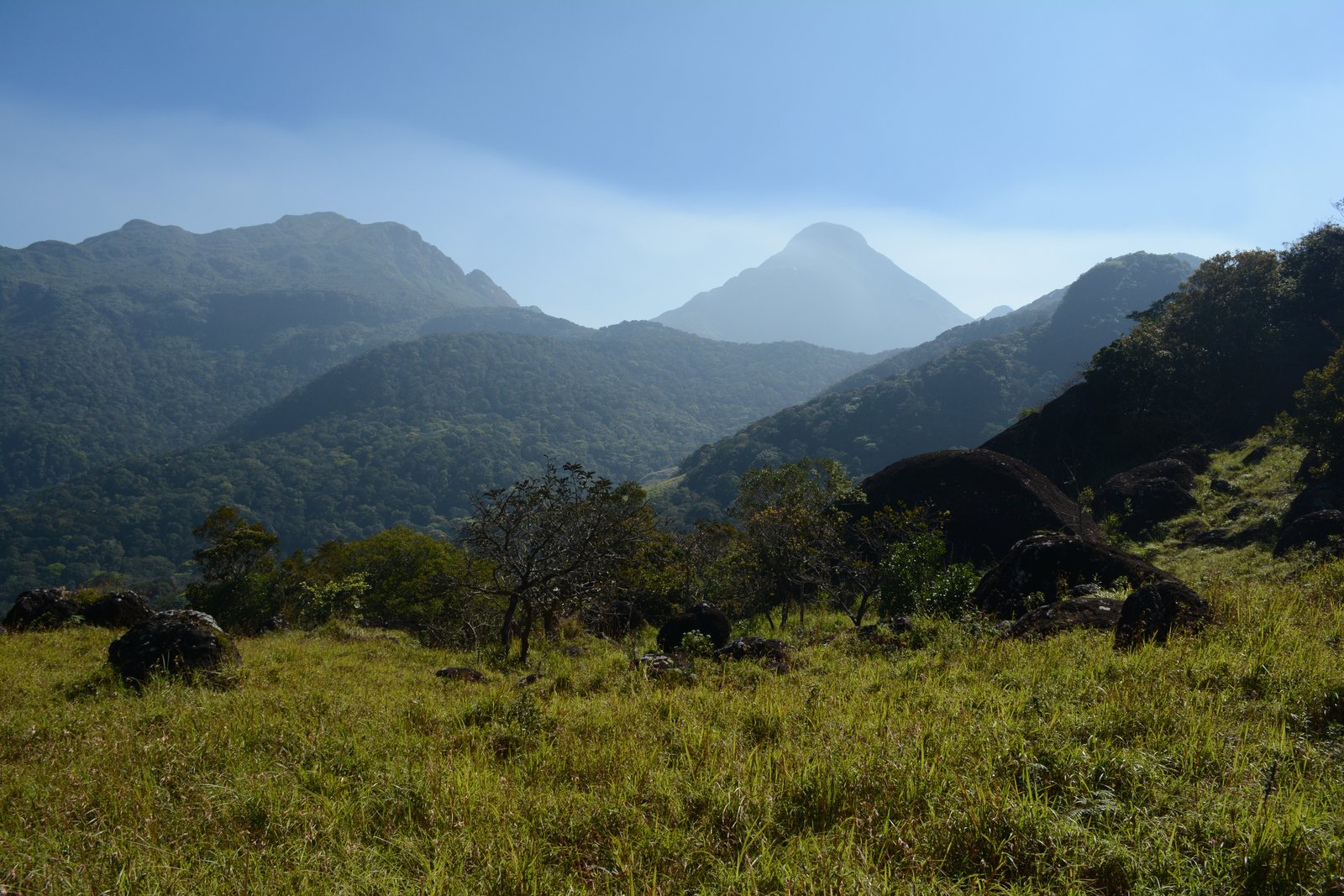 Atmospheric mist-draped mountain peaks and high-altitude slopes in the Western Ghats at dusk